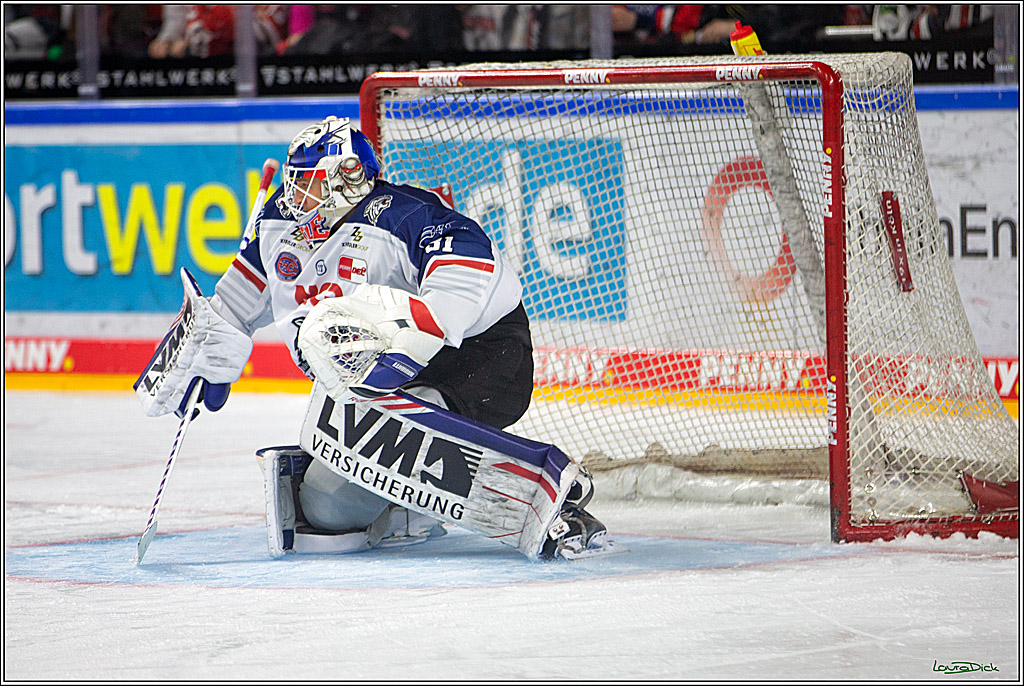 PENNY DEL; Koelner Haie- Nuernberger Ice Tigers; Koeln, 29.01.2023